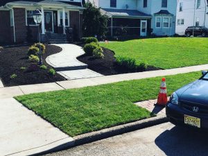 Residential Lawn Maintenance South Jersey
