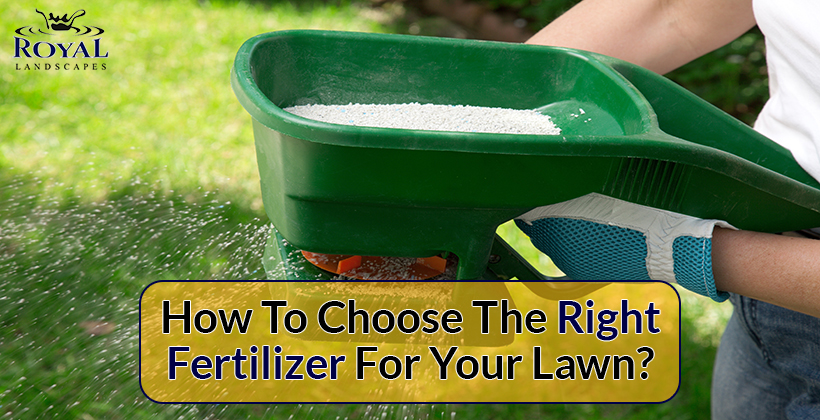 Fertilizer for your lawn